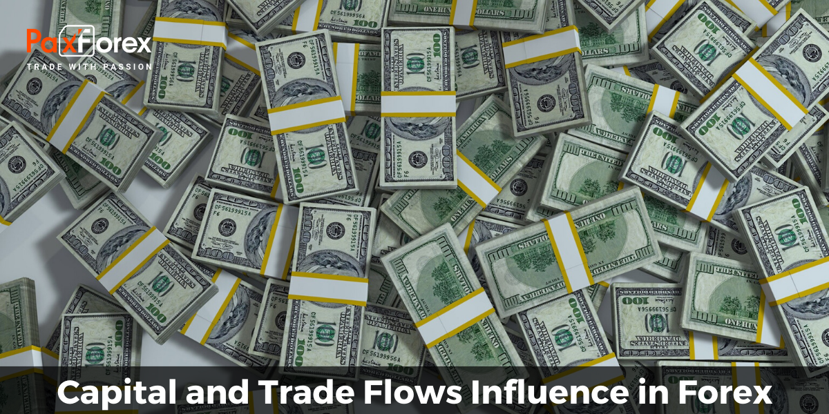 Capital and Trade Flows Influence in Forex