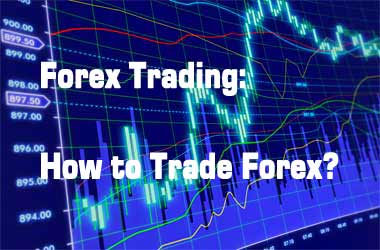 Right Way to Start Trading Forex1